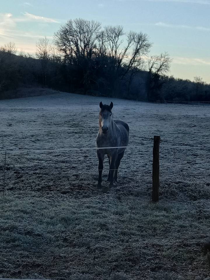 Pension au pr&eacute;, id&eacute;al balade