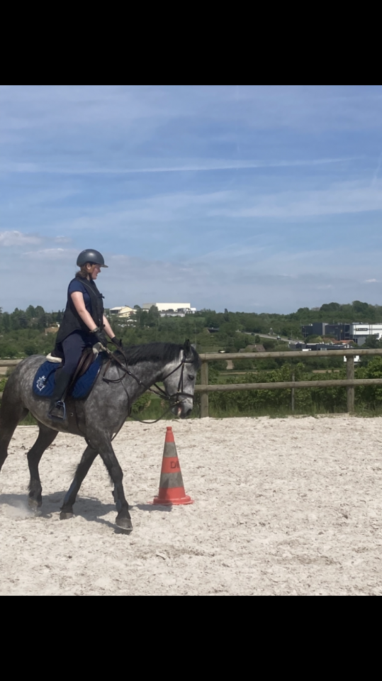 Poney Connemara plein papiers