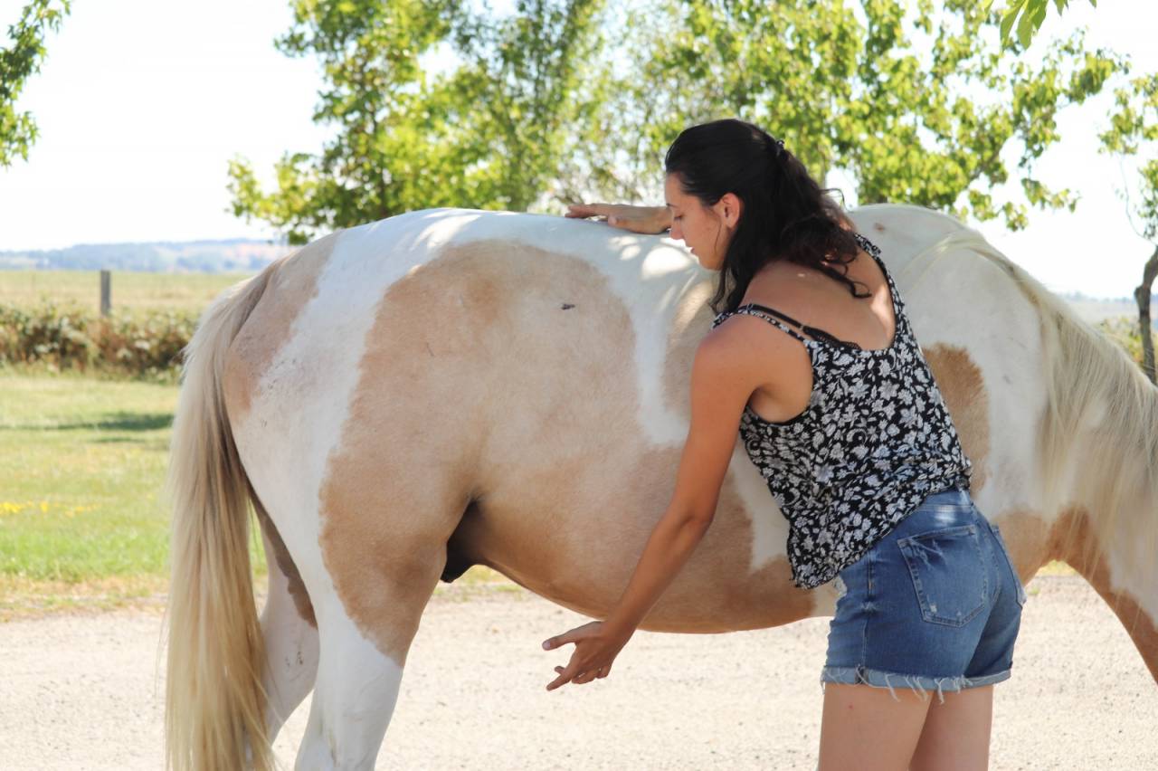 Communication animale • Kinésiologie • Naturopathie