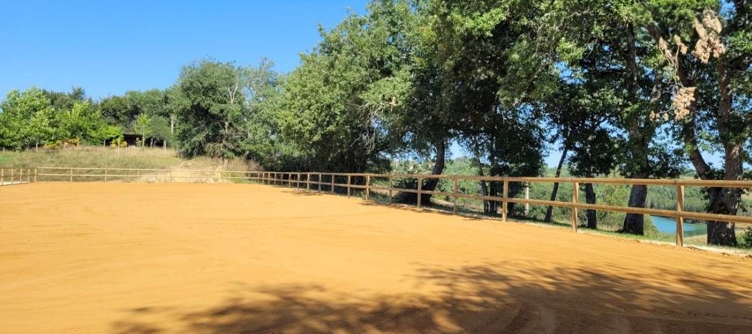 Pension cheval, poney et &eacute;talon 