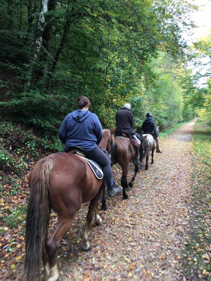 Balades &agrave; cheval au fil de la Semois