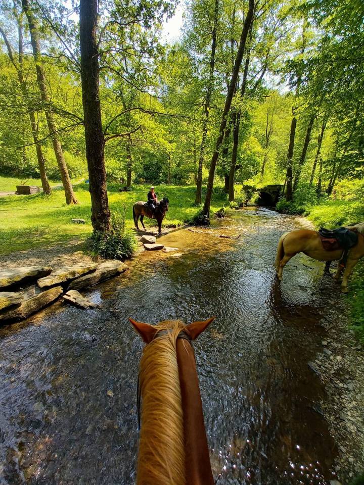Balades &agrave; cheval au fil de la Semois