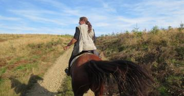 Balades &agrave; cheval au fil de la Semois