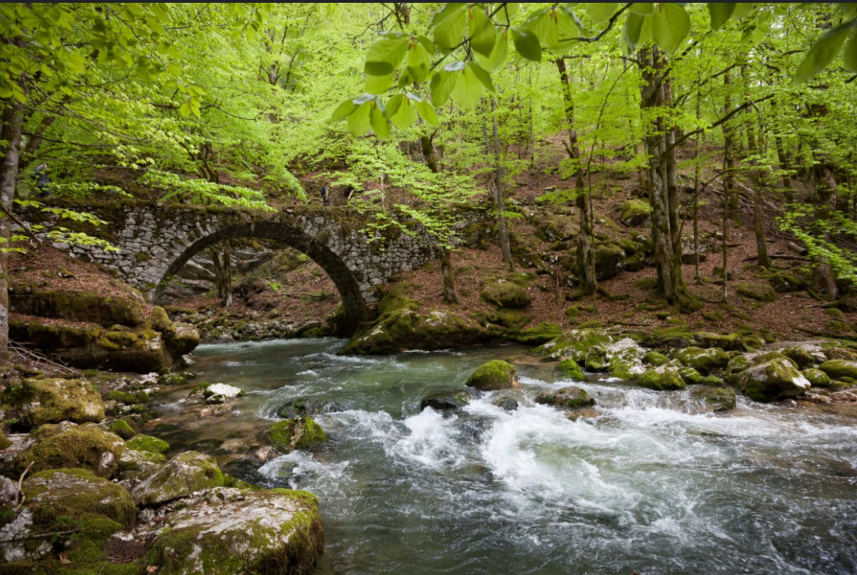 Magnifique randonnée sur le plateau du Retord 01200