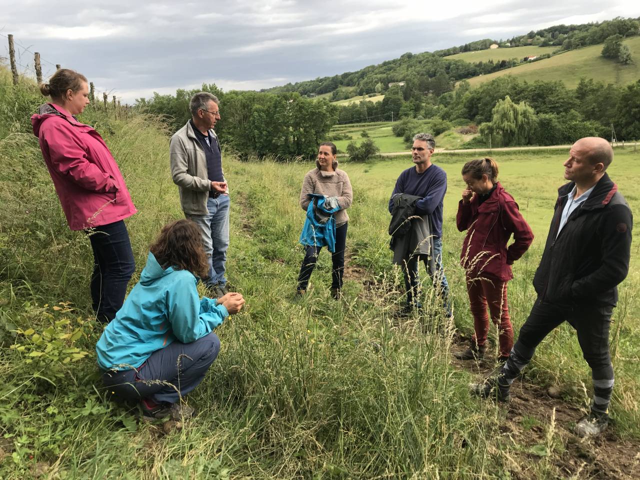 Formation Equithérapeute (31j sur un an)