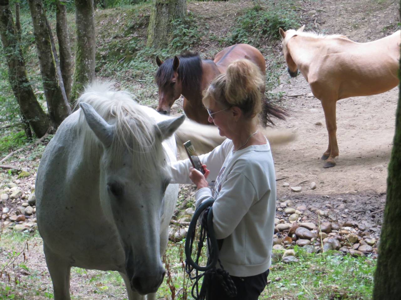 Stage d'été Yoga et Cheval
