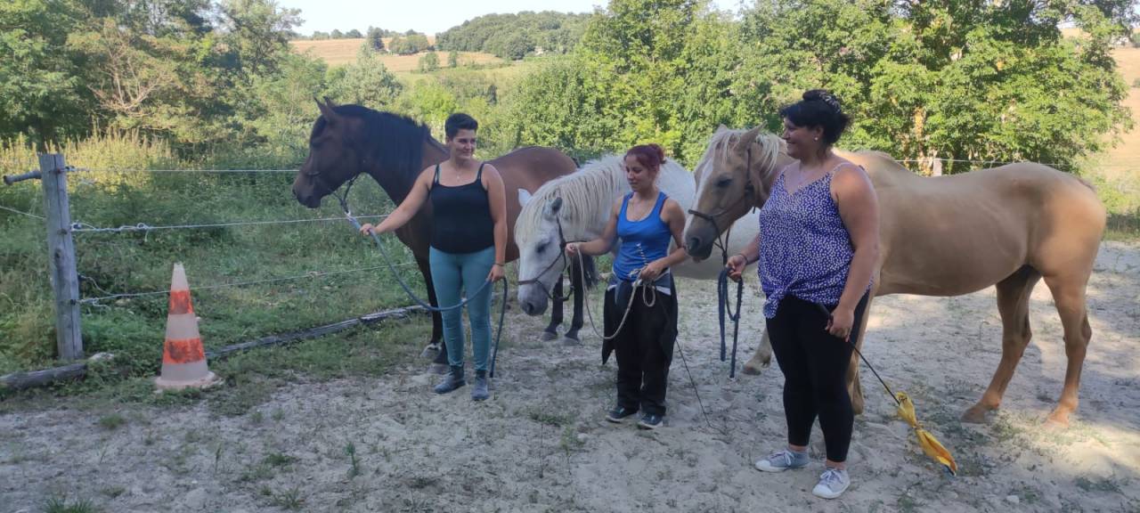 Le cheval th&eacute;rapeute