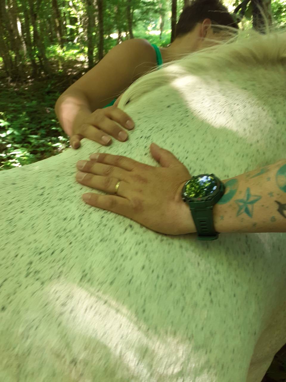 Le cheval th&eacute;rapeute