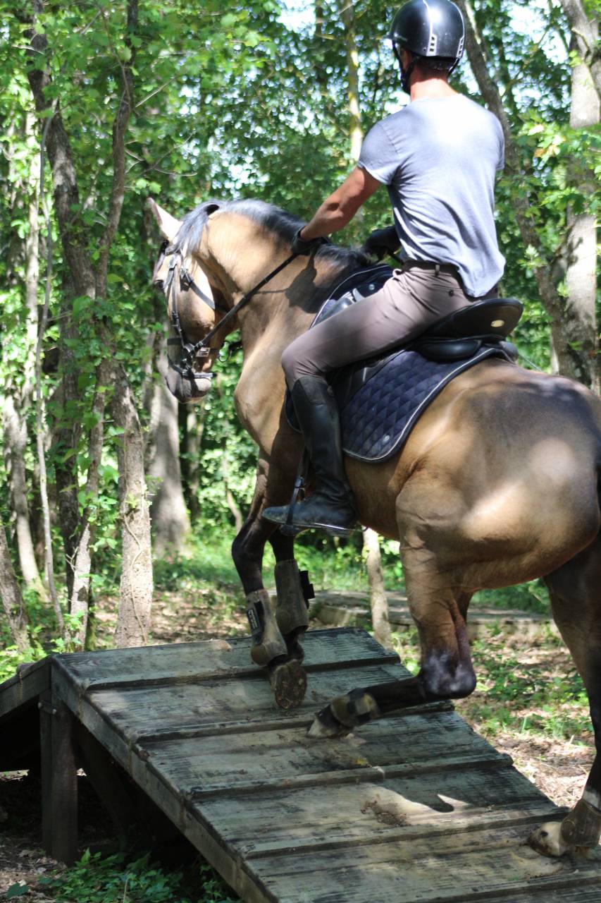 OPIUM DU DASTUGUE étalon PSL PP approuvé