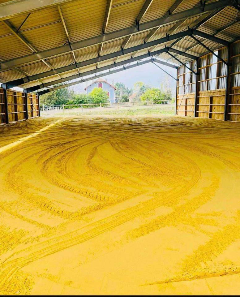 Pension pour chevaux - &Eacute;curie de Varaize 17400 Varaize