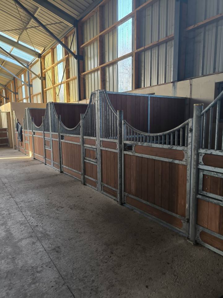 Pension pour chevaux - &Eacute;curie de Varaize 17400 Varaize