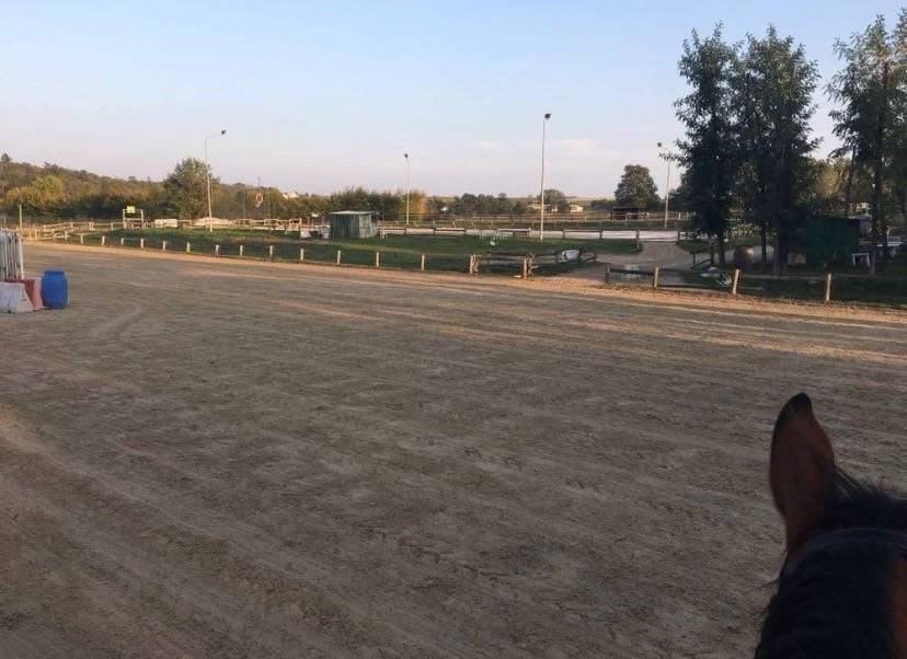 Pension pre/ boxe - Centre &eacute;questre du Saumurois (49)