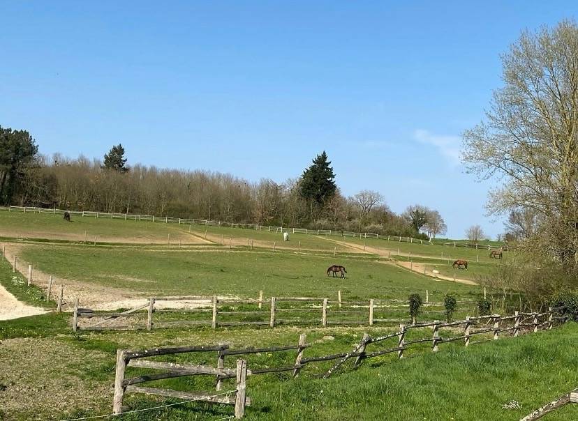 Pension pre/ boxe - Centre &eacute;questre du Saumurois (49)