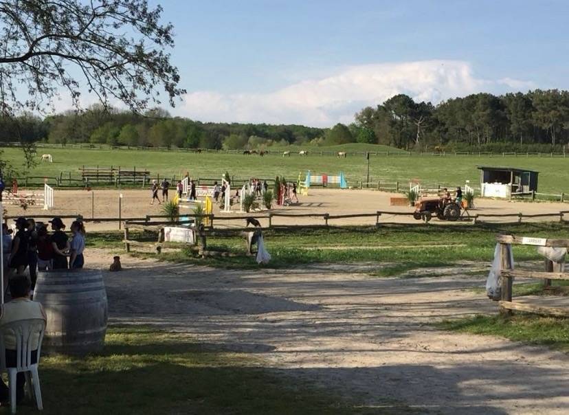 Pension pre/ boxe - Centre &eacute;questre du Saumurois (49)