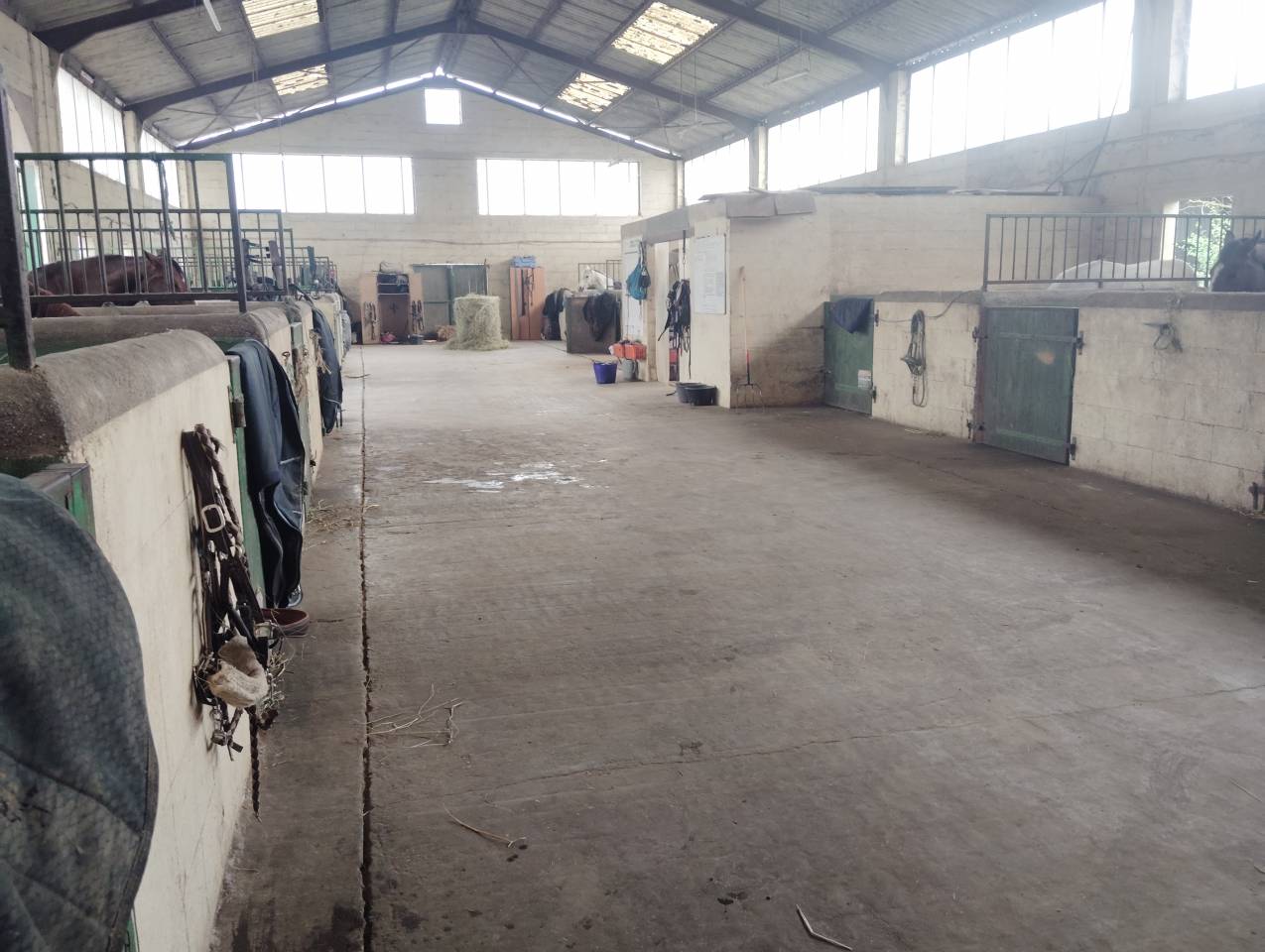 Pension pre/ boxe - Centre &eacute;questre du Saumurois (49)