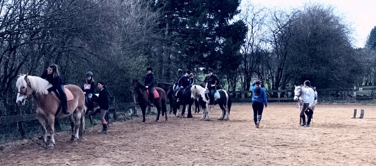 Stages d'équitation, théâtre et cinéma pour les enfants