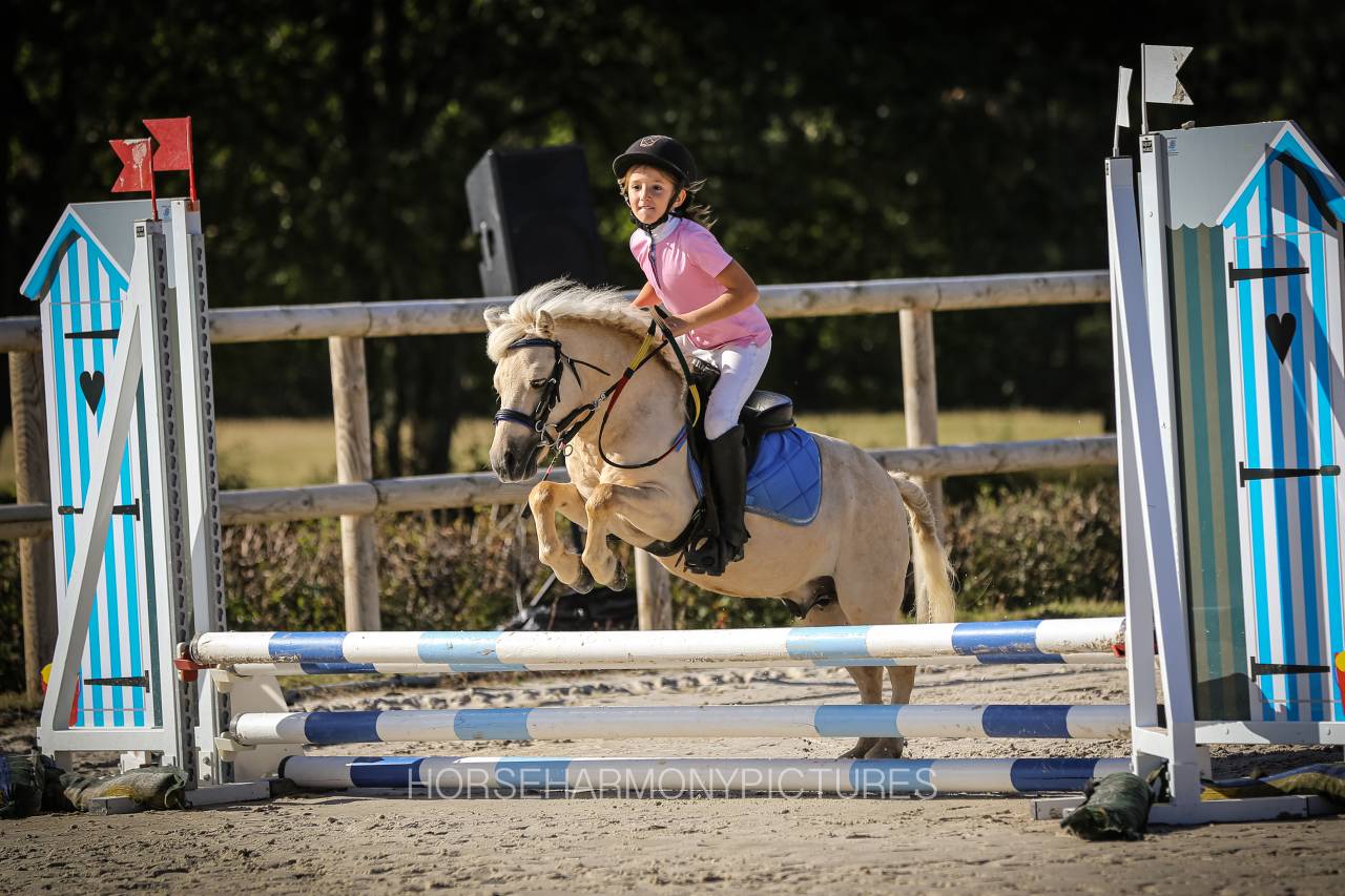 Jeune ponette Plein Papier - grande A - Palomino