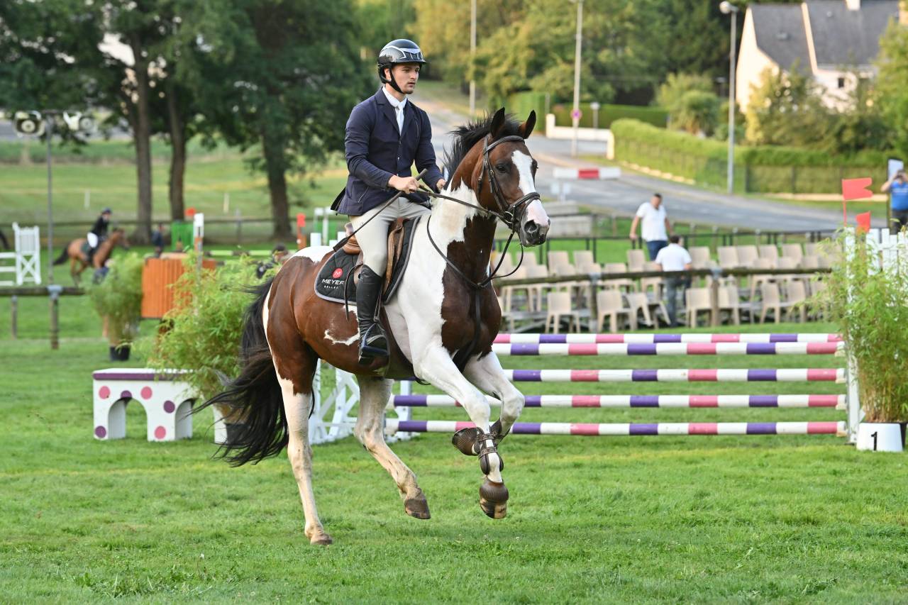 Mâle pie bai Famille 5*