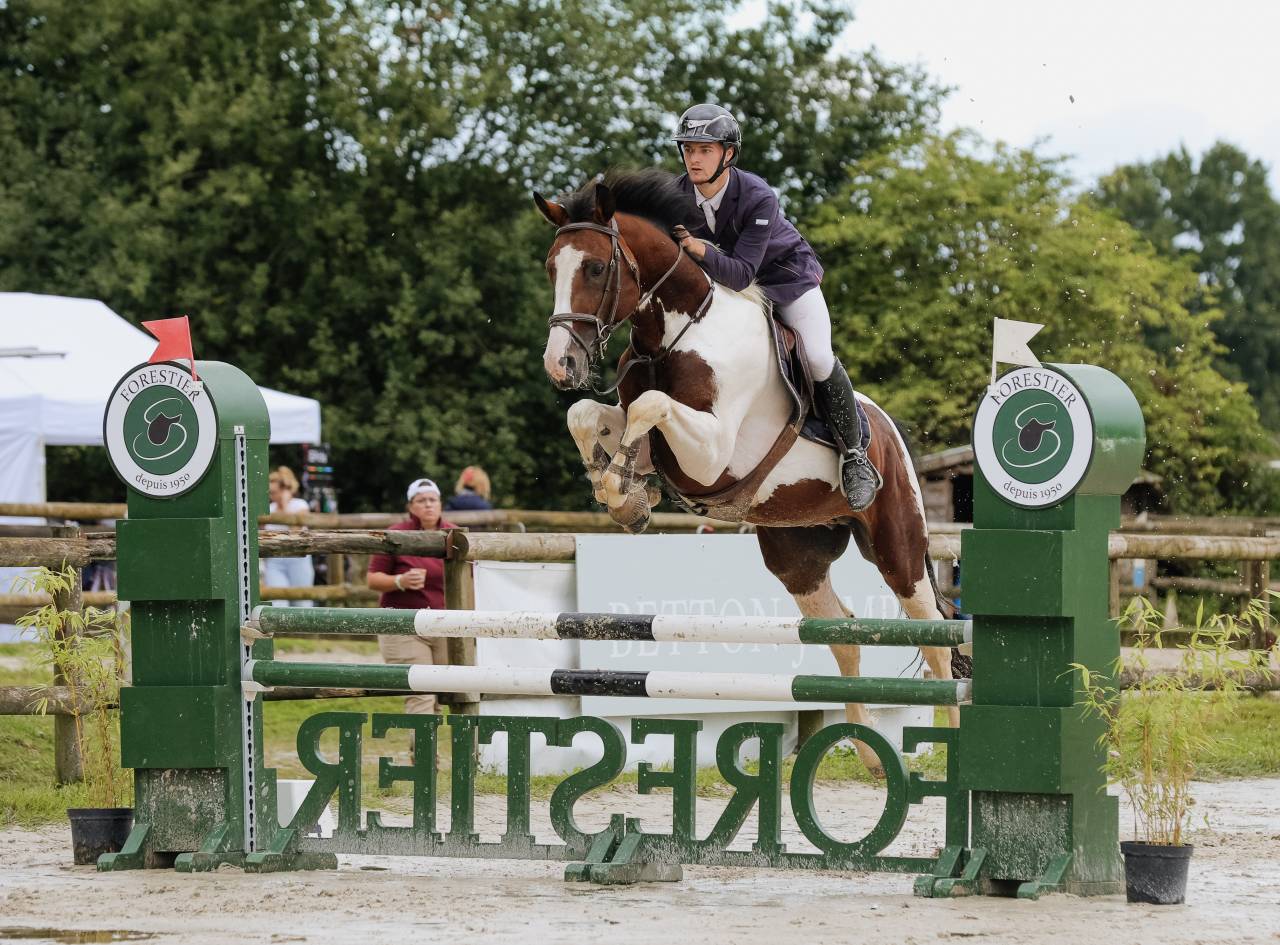 Mâle pie bai Famille 5*