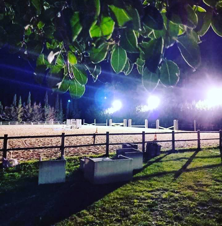 &Eacute;curies de dressage du Petit Malherbes 30470 Aimargues