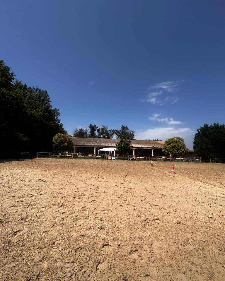 &Eacute;curies de dressage du Petit Malherbes 30470 Aimargues