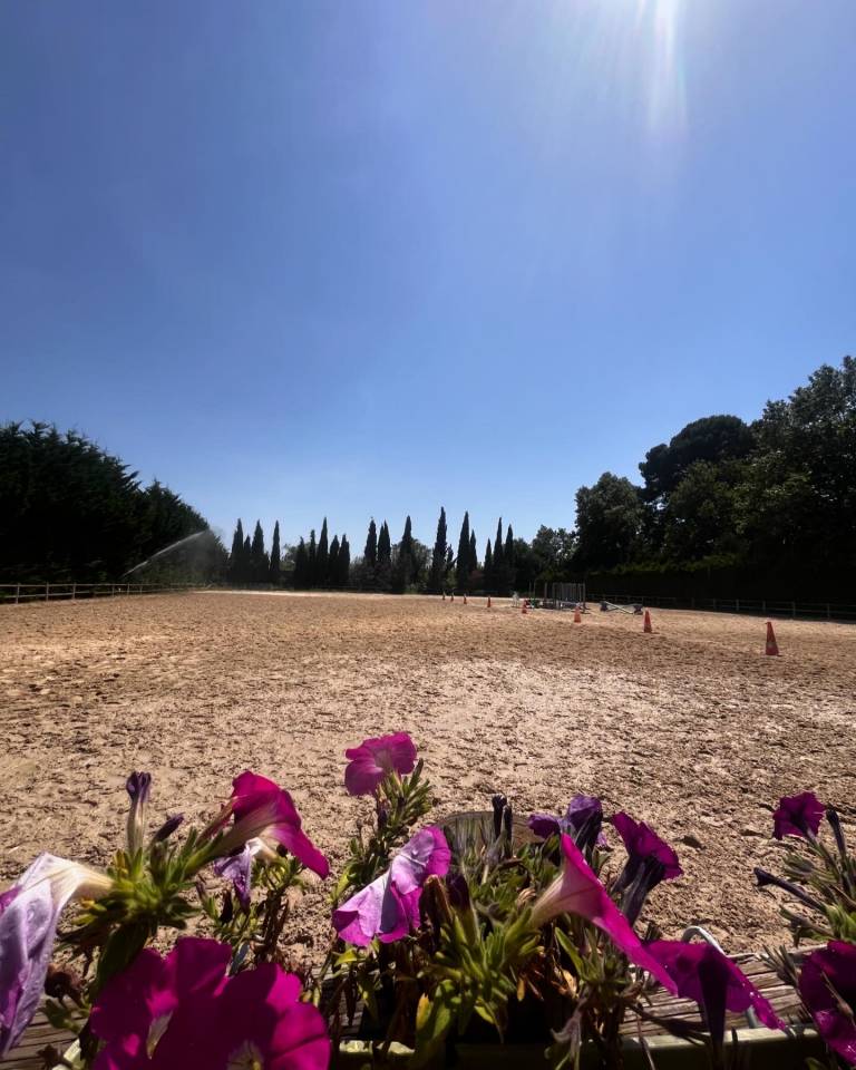 &Eacute;curies de dressage du Petit Malherbes 30470 Aimargues