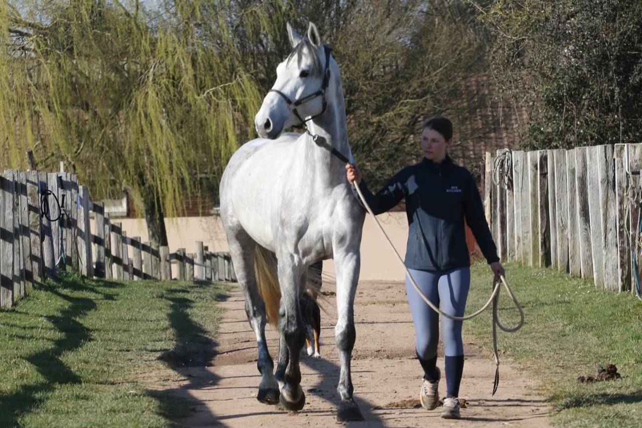 Actinium Brimbelles Z 