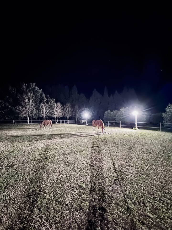 938929_1743370251_0516.jpg