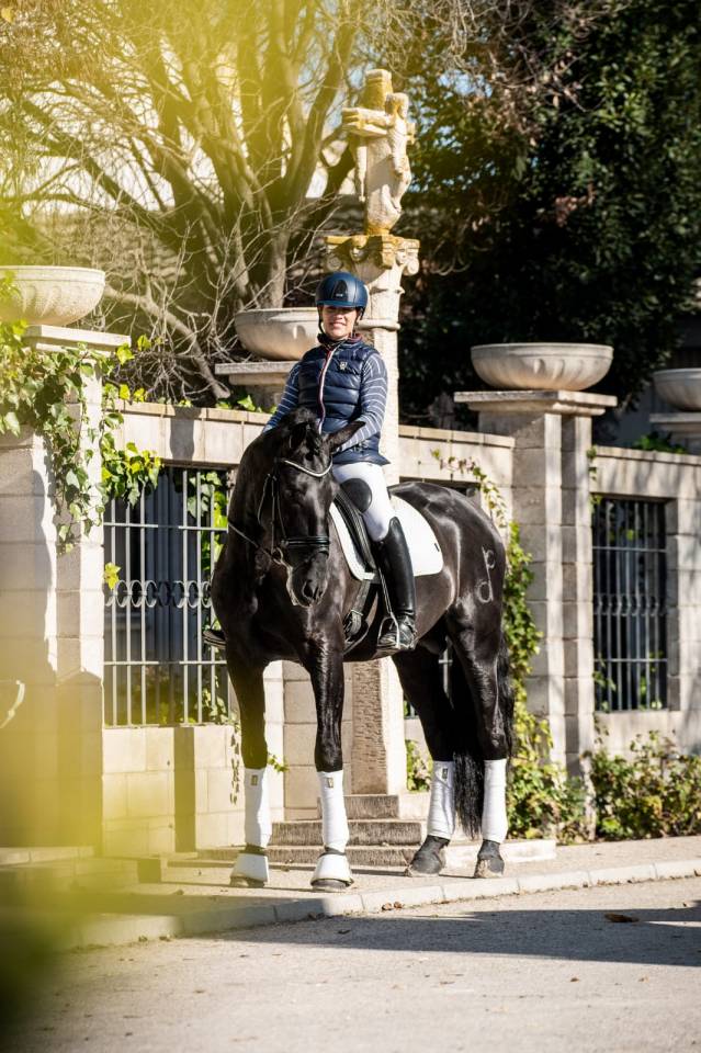 Poulain Pure Race Espagnole Noir 