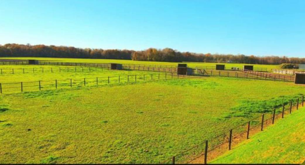 Propose pension pré poneys et chevaux dans le 77 