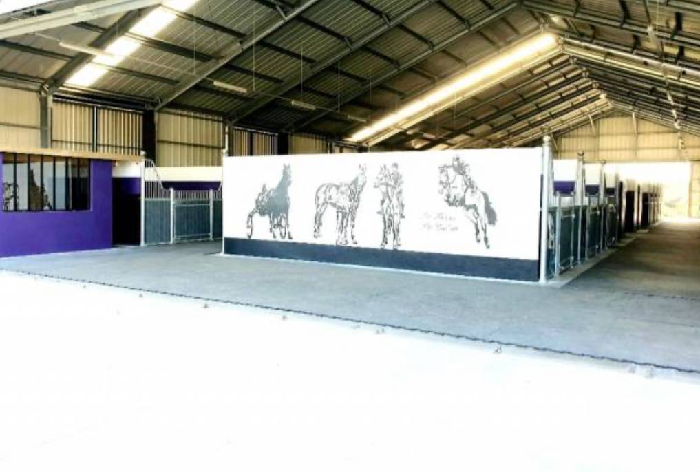 Propose pension pr&eacute;/box dans le 77 