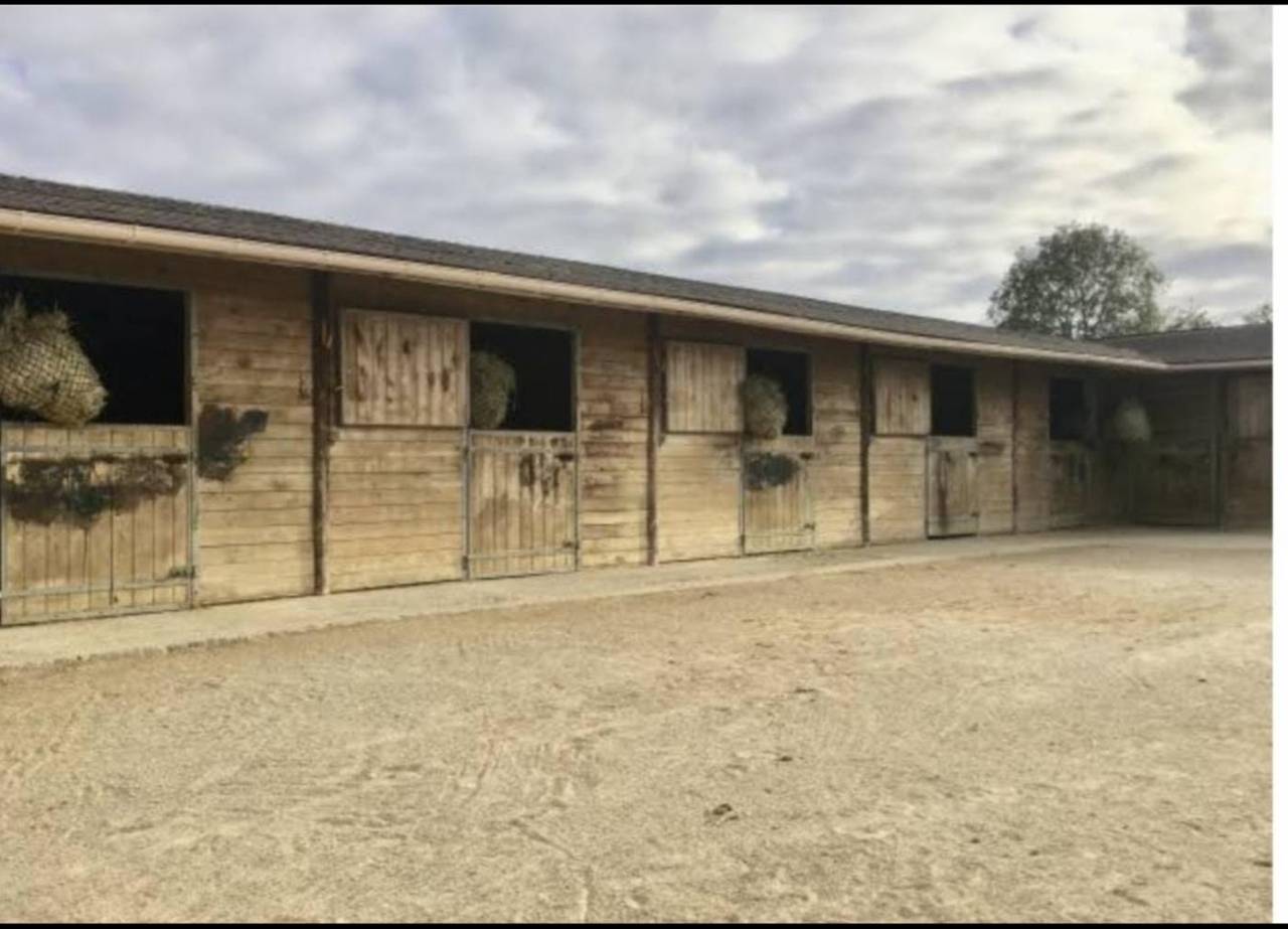 Location et pension chevaux 