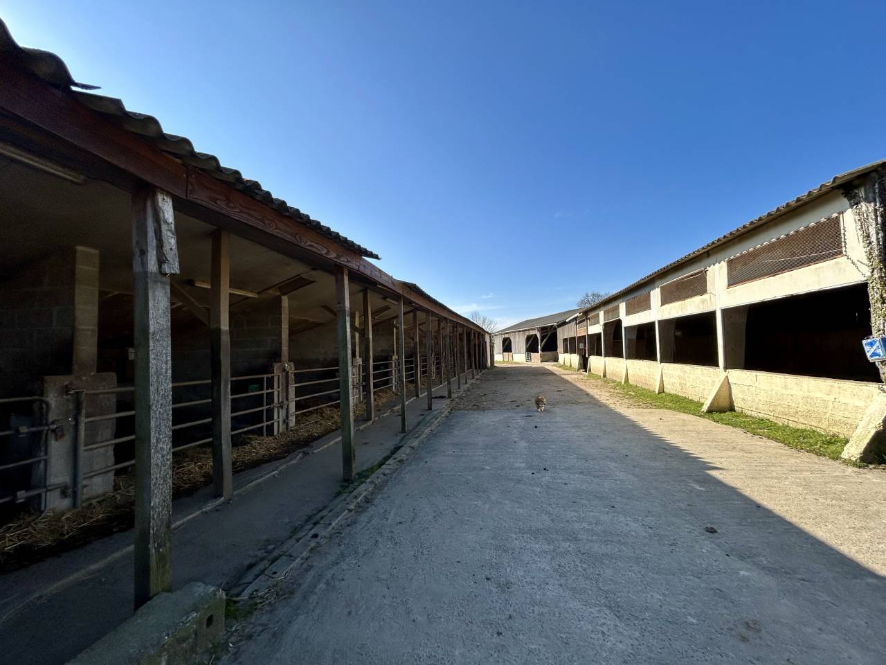 940065_1744019537_1862.jpg