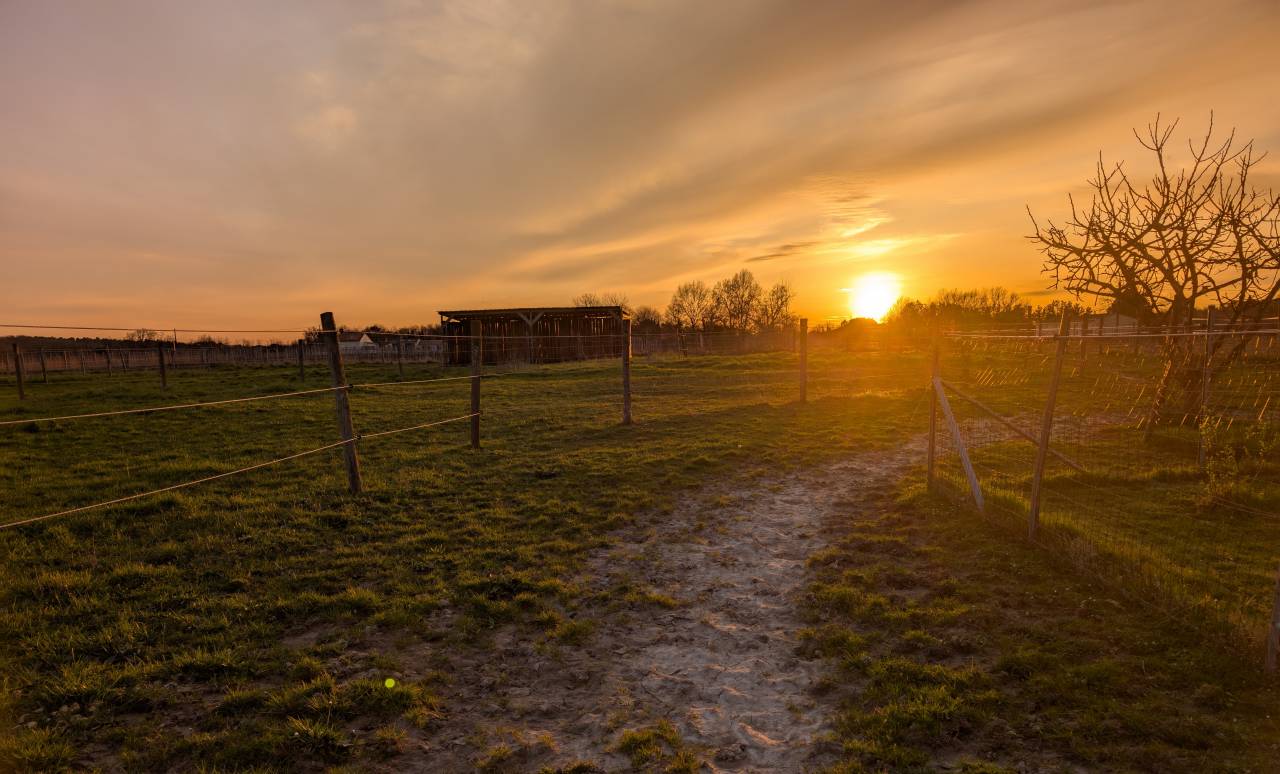 Pension de propriétaires 