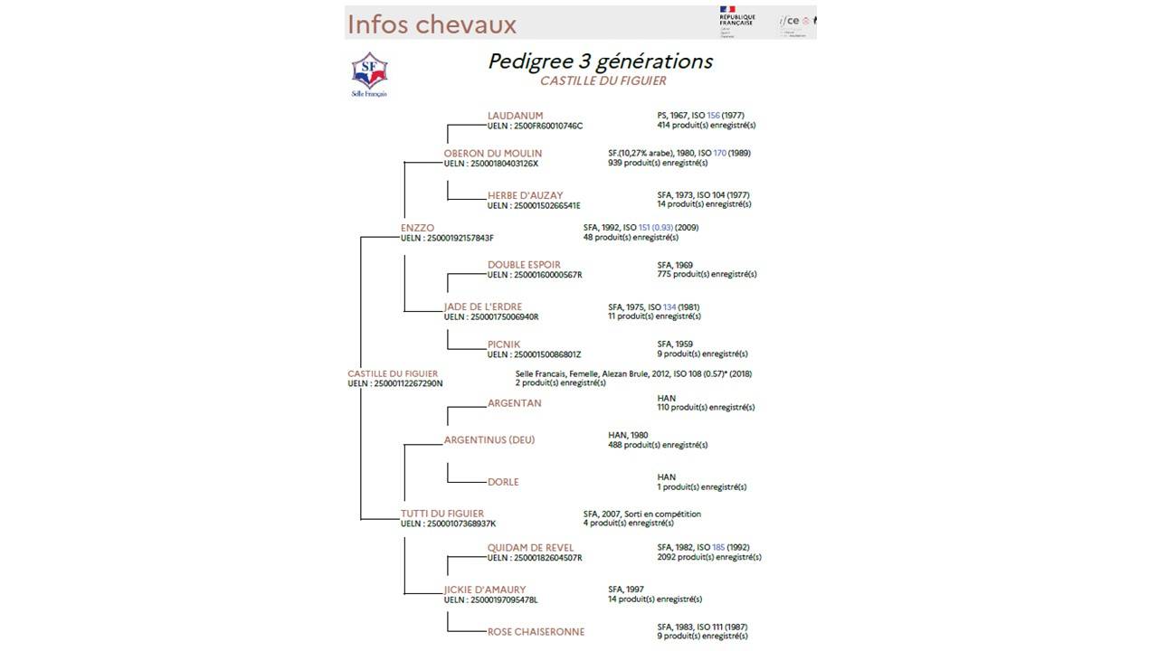 Poulinière + pouliche par Untouchable