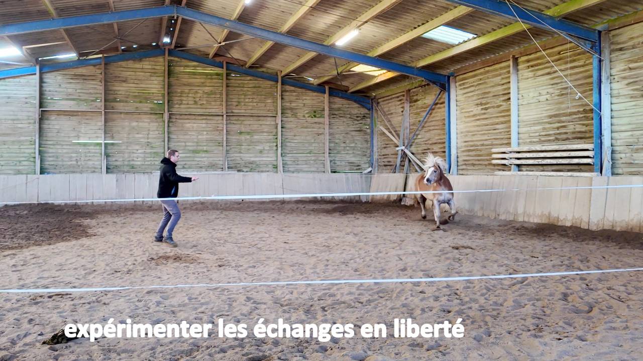Enfin une formation accessible avec votre CPF !