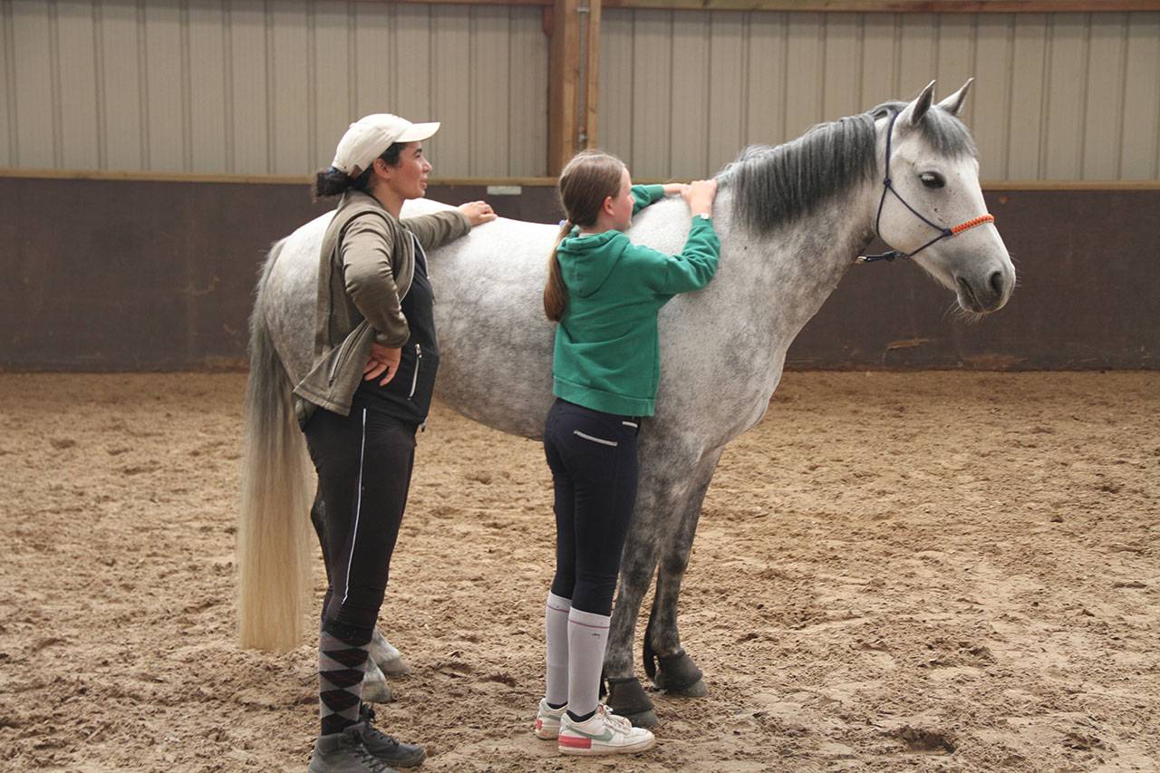 Coach,cavalière équitation étho, presta service écurie