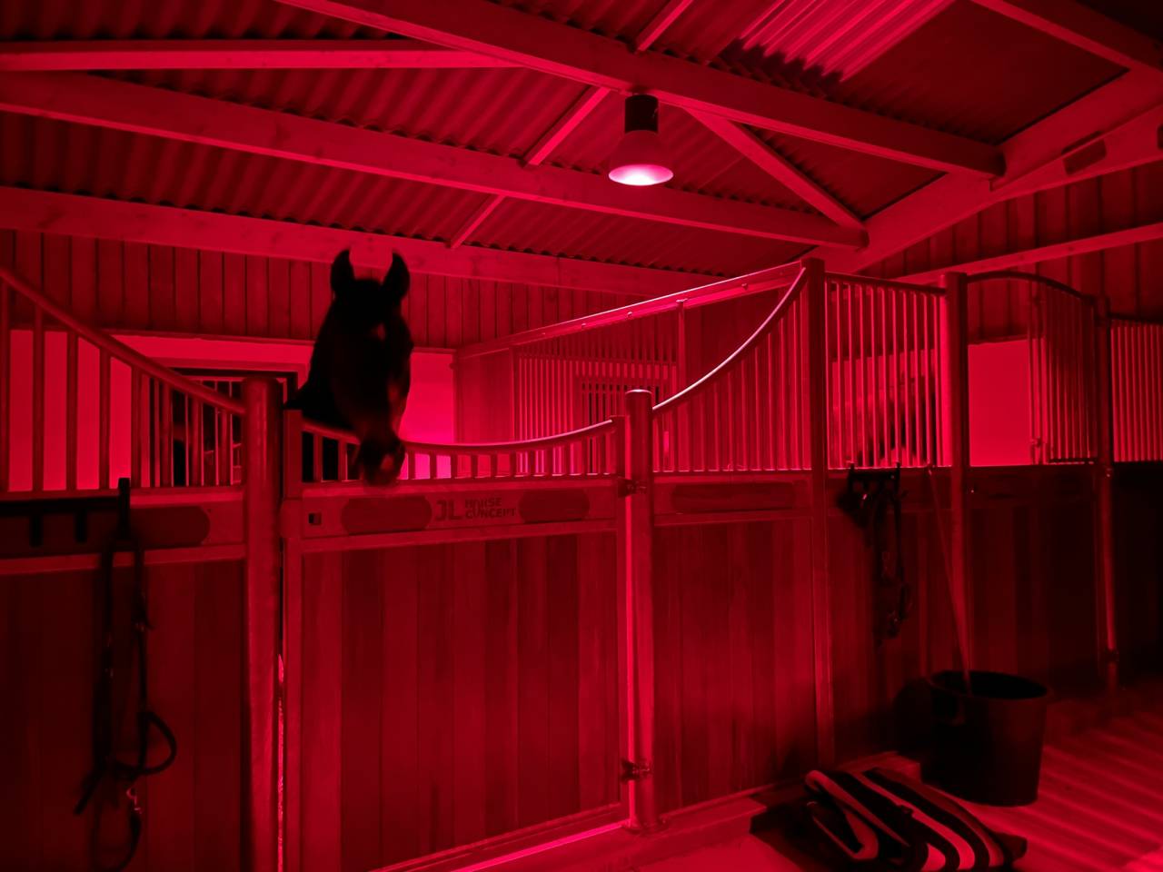 Quelques places disponibles au Haras de L’Auzance !