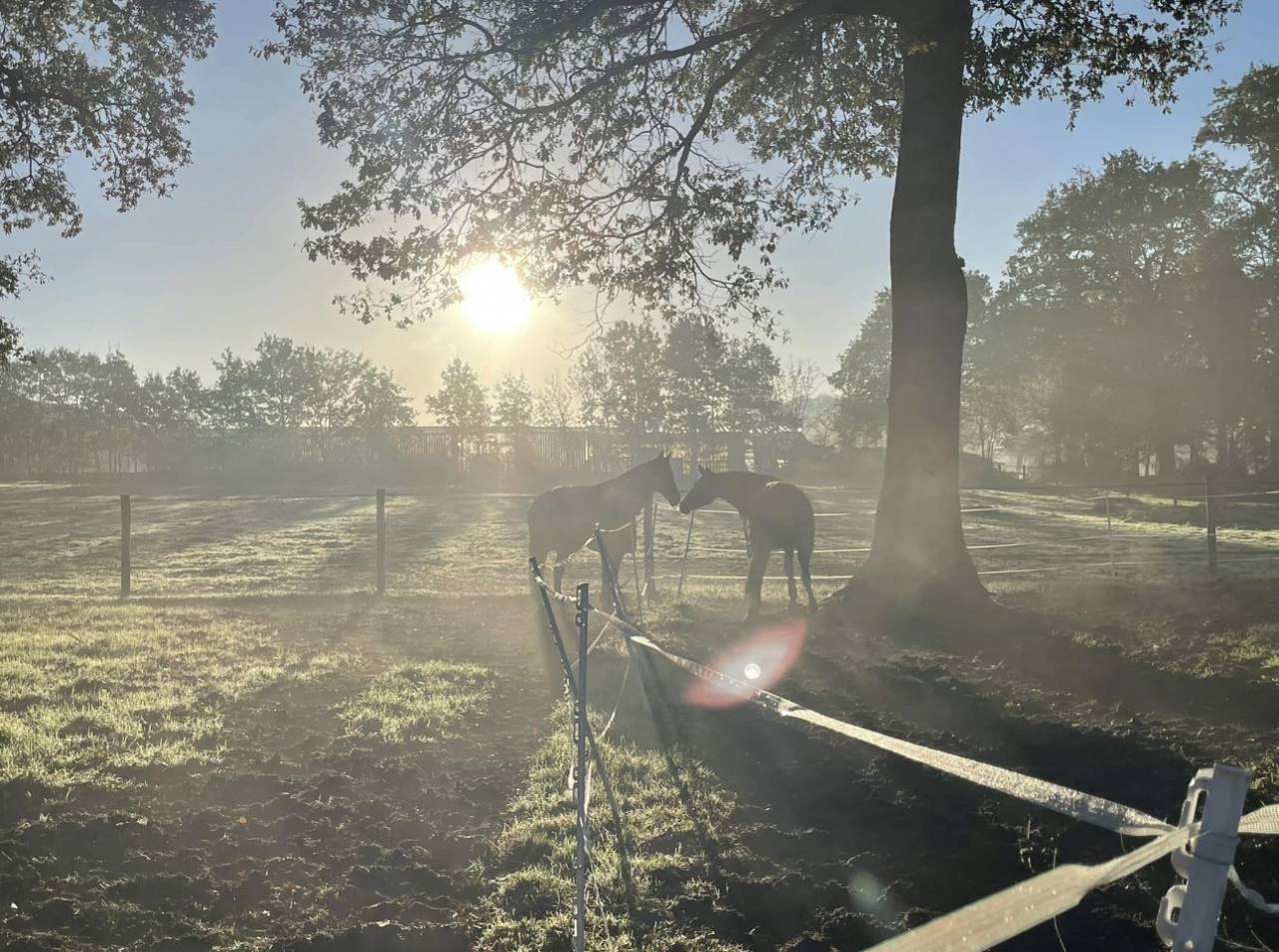 Quelques places disponibles au Haras de L’Auzance !