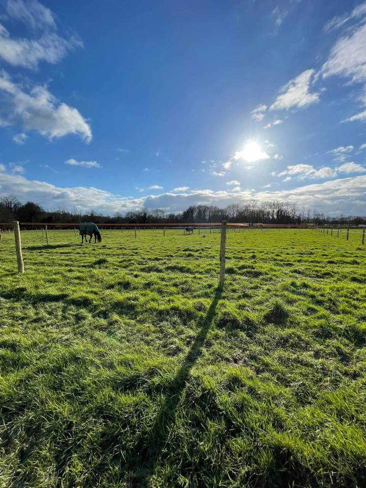 Quelques places disponibles au Haras de L’Auzance !