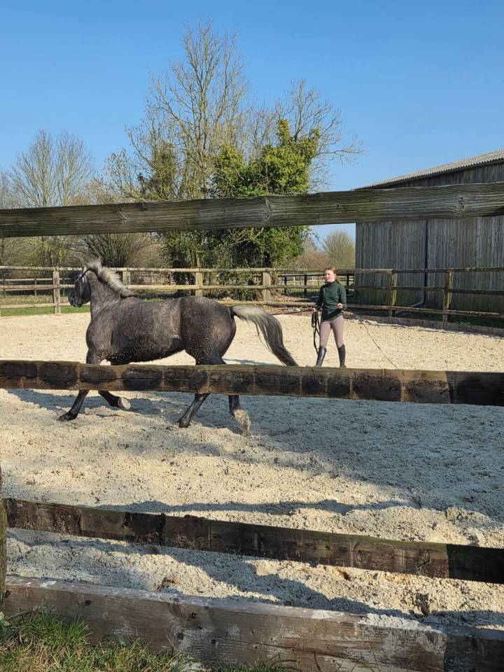 ECURIE DE PROPRIÉTAIRES - PENSIONS /30mn de Deauville 