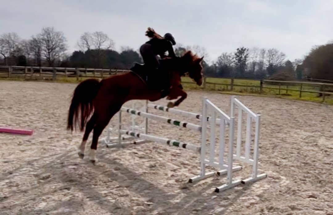 ECURIE DE PROPRIÉTAIRES - PENSIONS /30mn de Deauville 