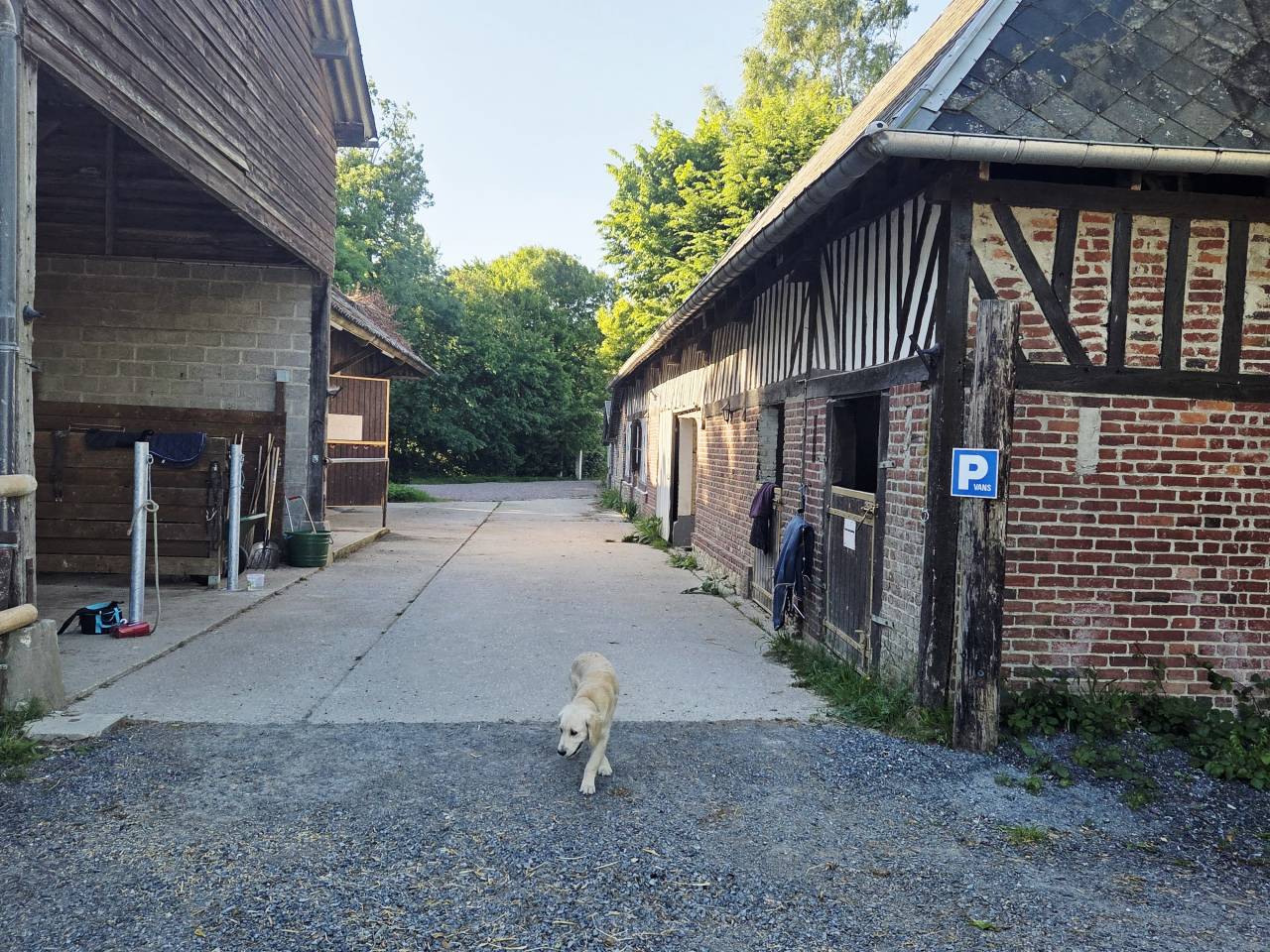 ECURIE DE PROPRIÉTAIRES - PENSIONS /30mn de Deauville 