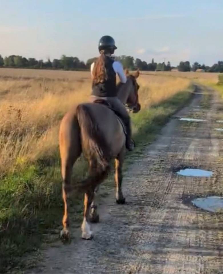 ECURIE DE PROPRIÉTAIRES - PENSIONS /30mn de Deauville 