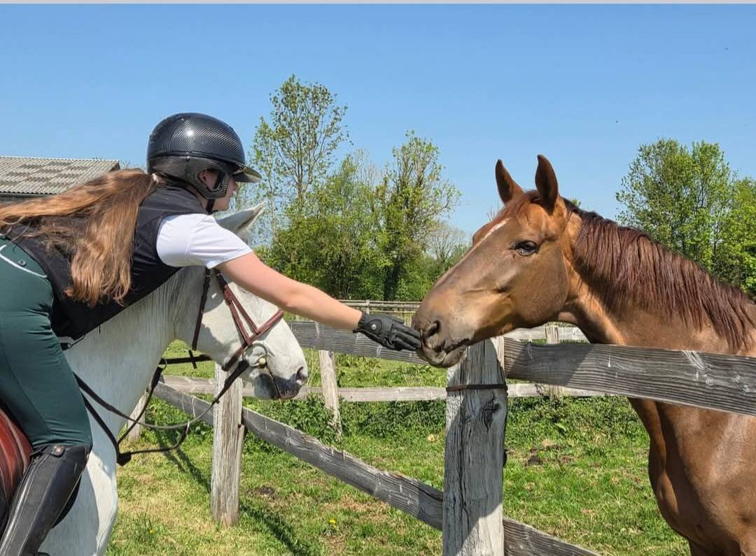 ECURIE DE PROPRIÉTAIRES - PENSIONS /30mn de Deauville 
