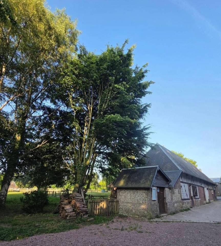 ECURIE DE PROPRIÉTAIRES - PENSIONS /30mn de Deauville 