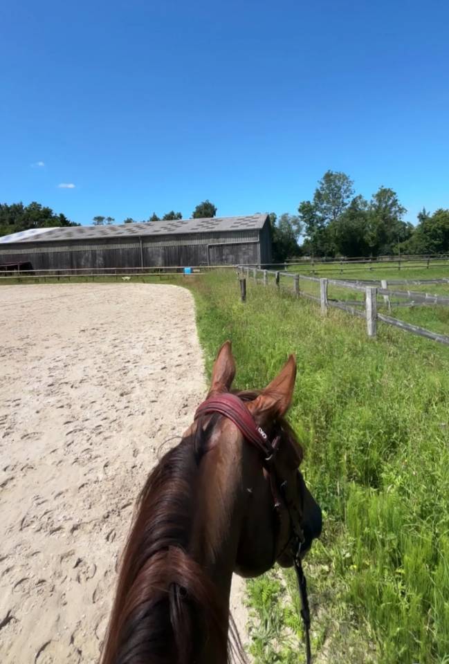 ECURIE DE PROPRIÉTAIRES - PENSIONS /30mn de Deauville 