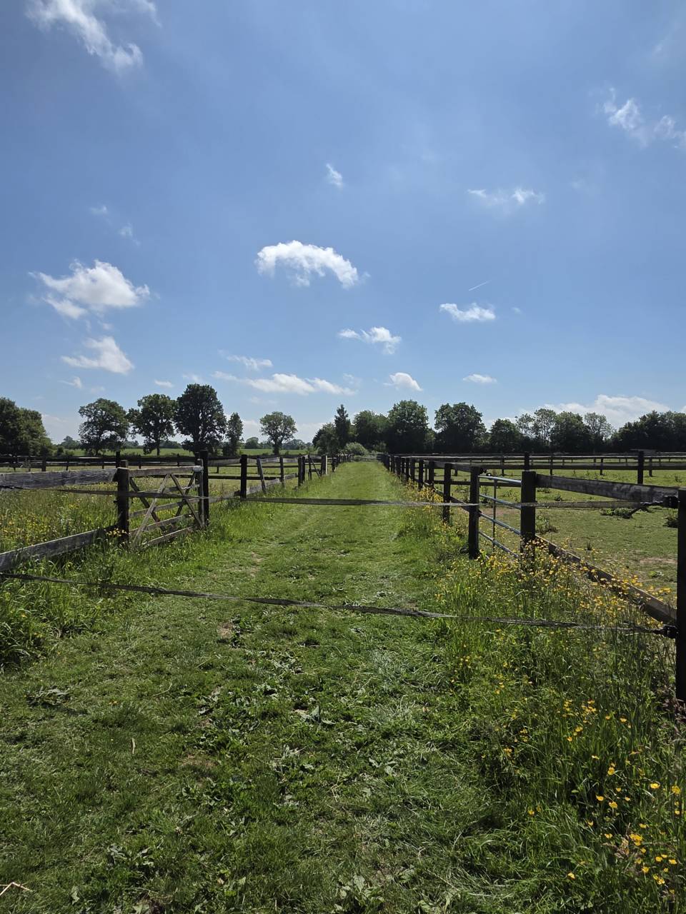 ECURIE DE PROPRIÉTAIRES - PENSIONS /30mn de Deauville 