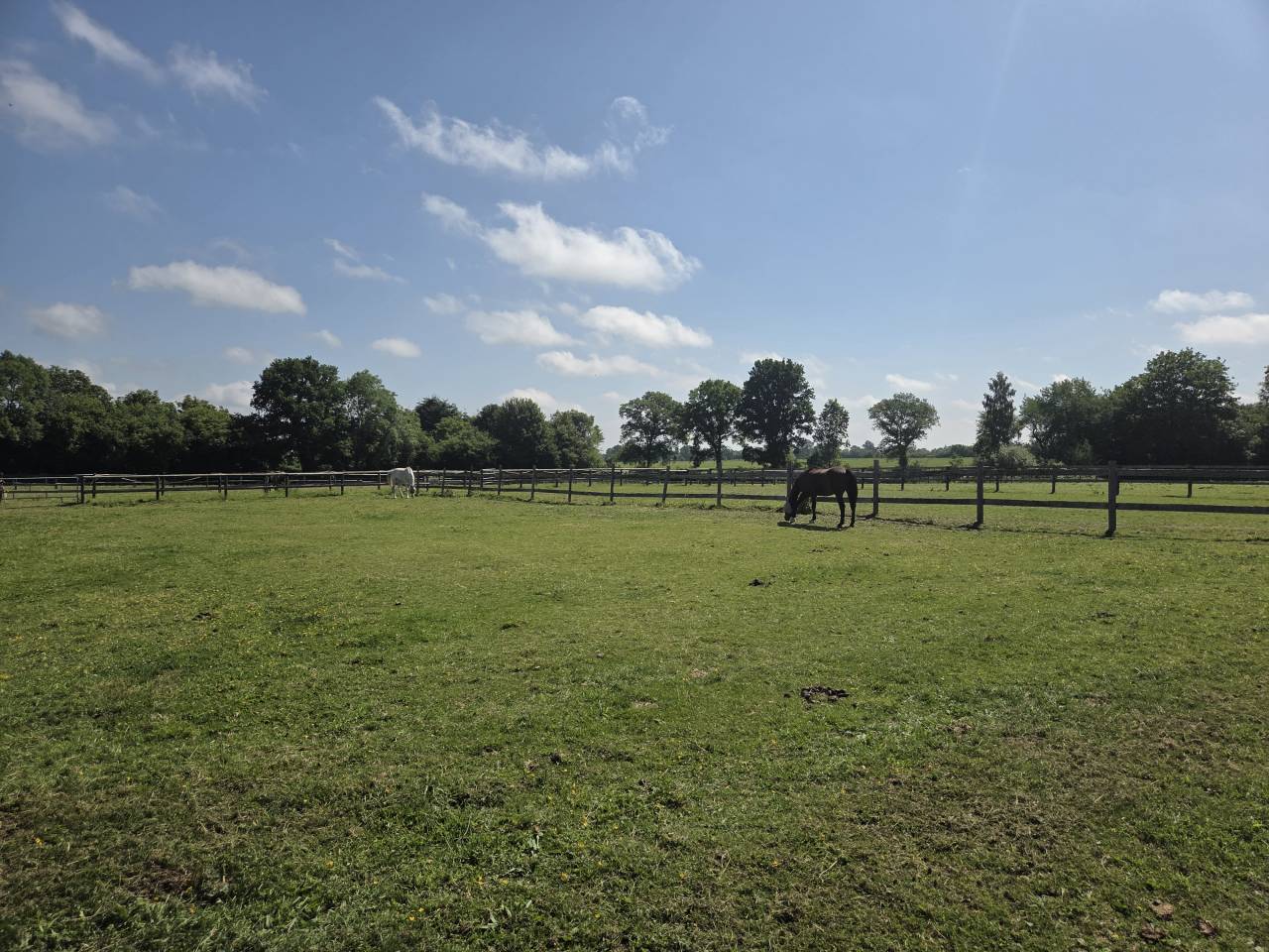 ECURIE DE PROPRIÉTAIRES - PENSIONS /30mn de Deauville 