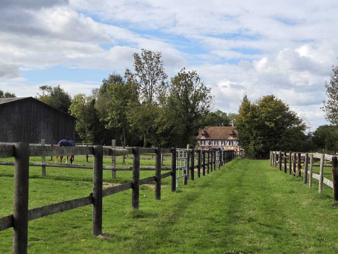 ECURIE DE PROPRIÉTAIRES - PENSIONS /30mn de Deauville 
